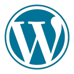 faiza-website-image-best-digital-marketing-strategist-in-calicut